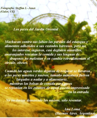 Los peces del jardn oriental